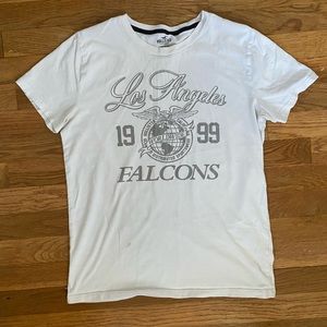 Hollister Los Angeles Falcons T-Shirt